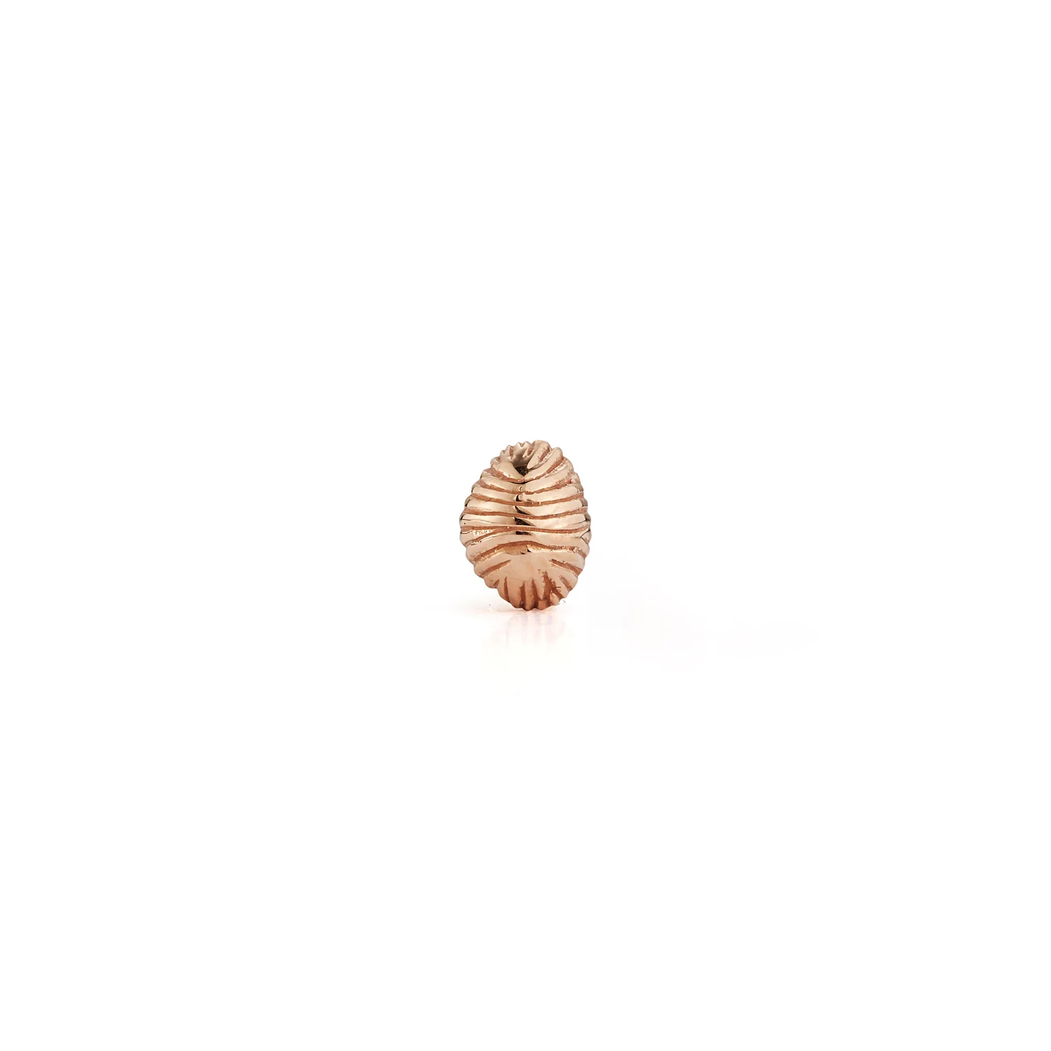 Bitsy Bean Stud - Closed - Image 3