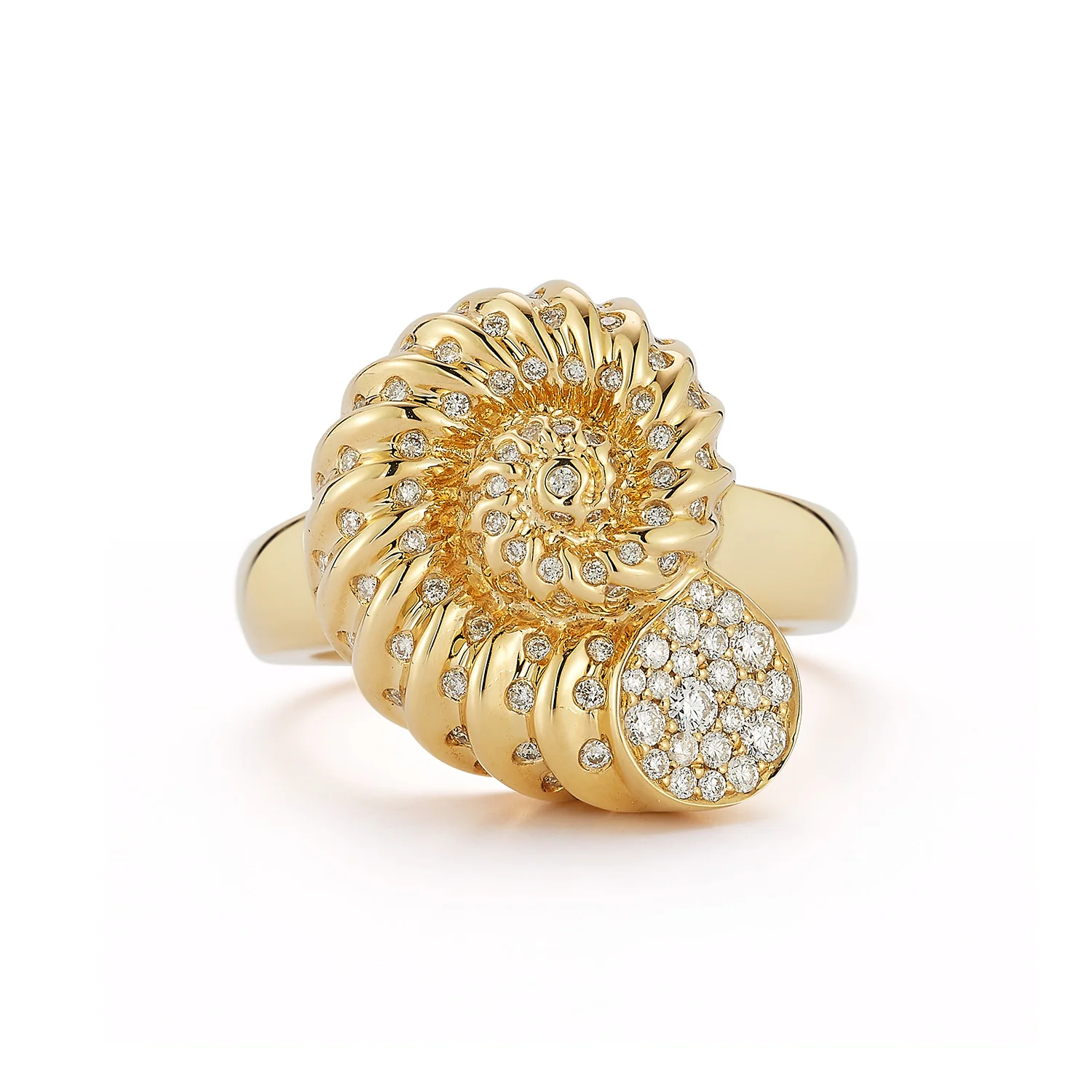 Nautilus Ring - Image 2