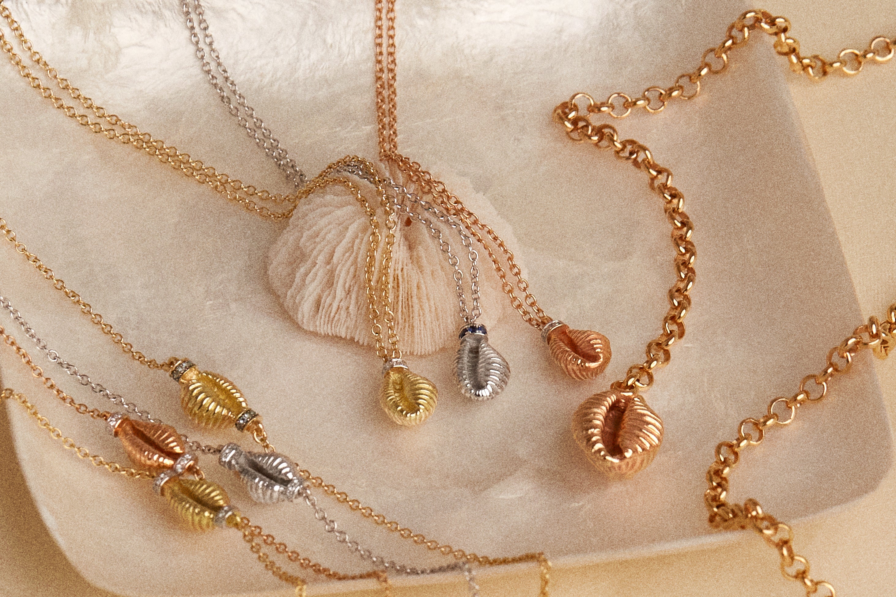 Thread and Shell Bracelet - Image 16