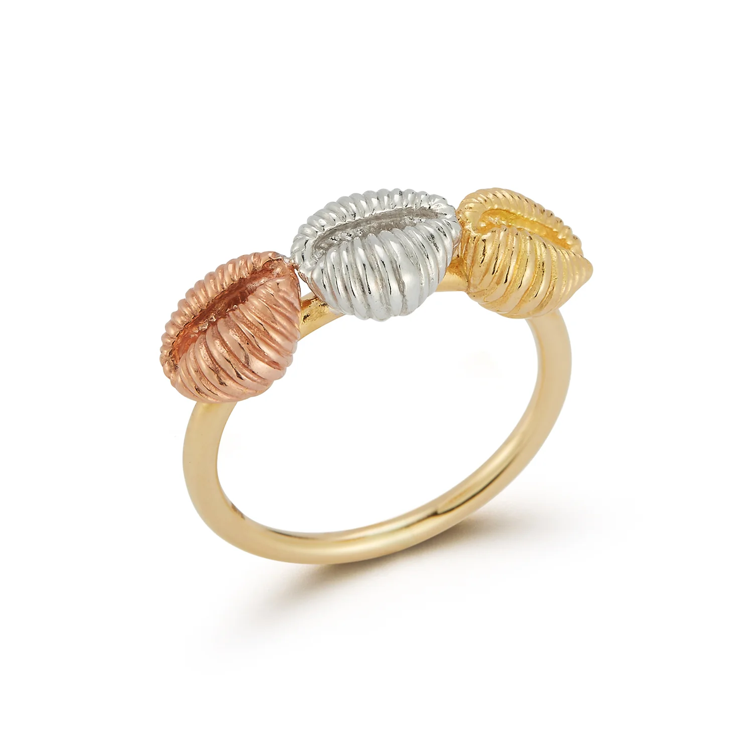 Three Baby Shells Ring - Image 3