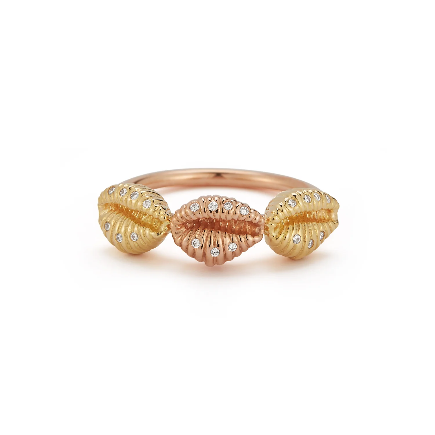 Three Baby Shells with Diamonds