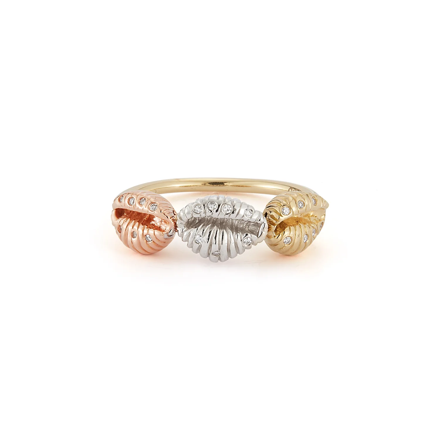 Three Baby Shells with Diamonds - Image 2