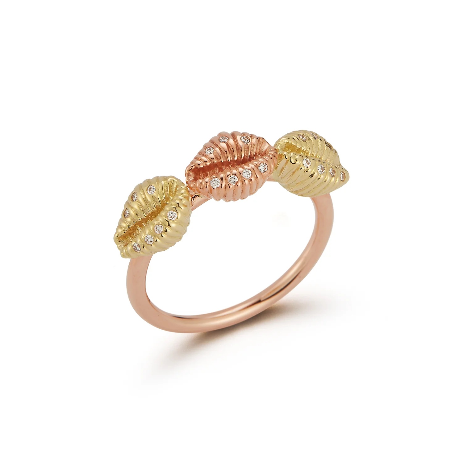 Three Baby Shells with Diamonds - Image 3