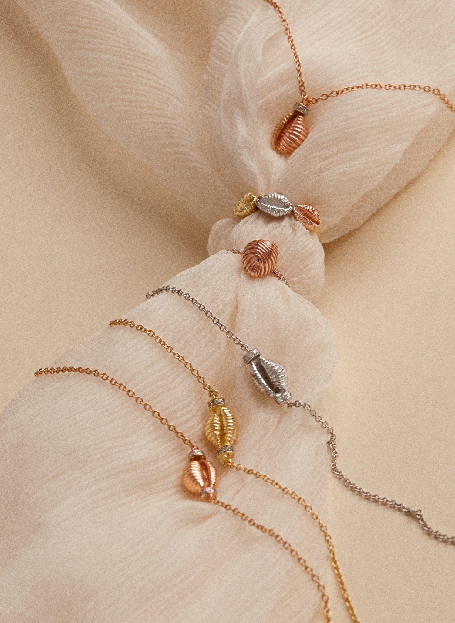 Three Baby Shells with Diamonds - Image 6